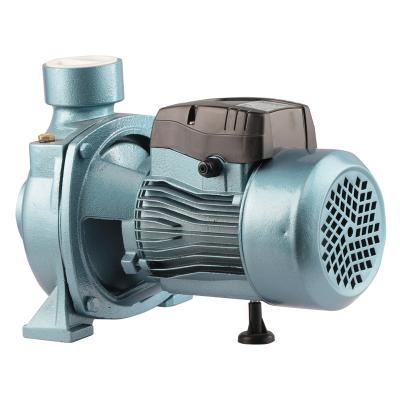 China Factory Commercial New Product High Quality Home Buildings Booster Pump Irrigation Centrifugal Pump for sale