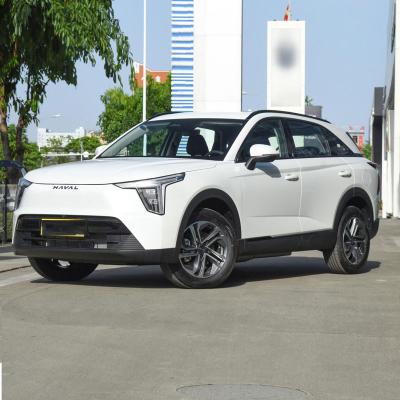 China Compacto SUV de gasolina coches híbridos Havelong 2023 1.5L 110km en venta