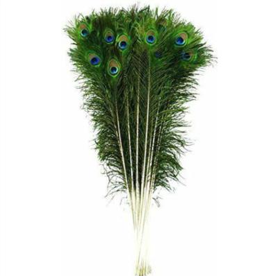 China Natural Peacock Feathers Beautiful Peacock Eye Feathers Customized Tails for sale