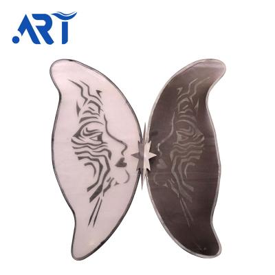 China Professional Option Excellent Quality Design Feather Butterfly Wings Wall Art for sale