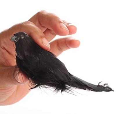 China Halloween Black Crow Feather Realistic Crow Artificial Bird Raven Prop Art and Crafts for Halloween Party Decoration Customized for sale