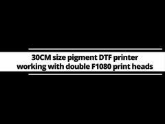 Digital 30cm Samll DTF Printer Pet Film Printer For Beginner With I3200 Head