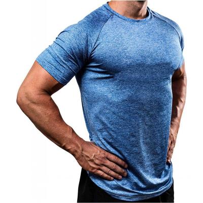 China Custom Anti-Wrinkle Compress Cationic Quick Dry T Shirt Men's 100% Polyester Fabric Gym Bodybuilding T-shirt for sale