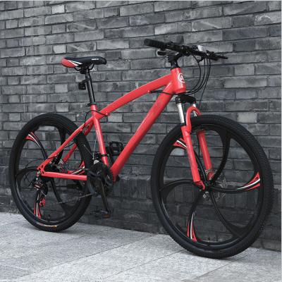 China Steel Tire Mountain Bike All Terrain Beach Snowmobile Ultra Size Adult Male And Student One-Wheeled Bicycle for sale