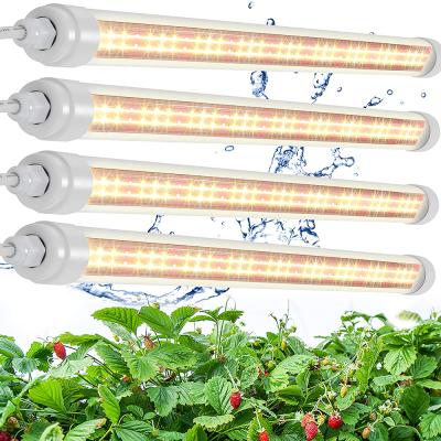 China Seed Starting Indoor Full Spectrum T8 LED Tube IP65 Led Grow Light System For Hydroponics Plant Grow LED for sale