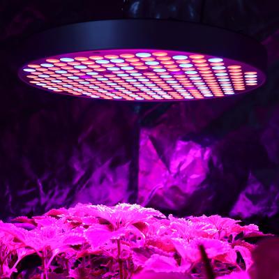 China 50W UFO LED Dimming Button Grow Lights Ultra-thin and High Efficiency Red Blue Plants Lights for Indoor Growing Led for sale