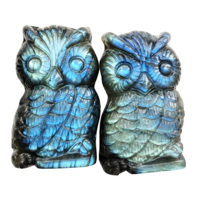 China Wholesale Natural Labradorite Owl Statue Crystal Jade Carving Gemstone Cutouts Animal Craft for sale