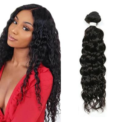 China Free Sample Water Wave Hair Bundles Brazilian Women Hair Natual Color Water Wave Virgin Hair Extensions Sellers 2 Years for sale