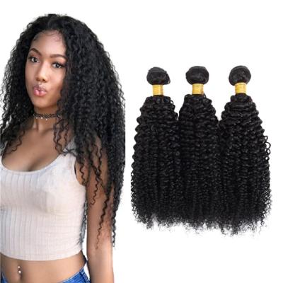 China Curly Bestselling Virgin Peruvian Hair Bundles Thick Cuticle Aligned Kinky Curly Virgin Hair For Elegant Women for sale