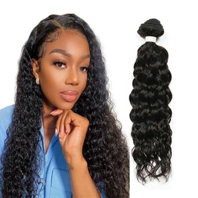 China 2022 Peruvian New Arrival Water Wave Hair Soft Water Wave Hair Extensions Hair Weave Bundles With Closure Vendors for sale