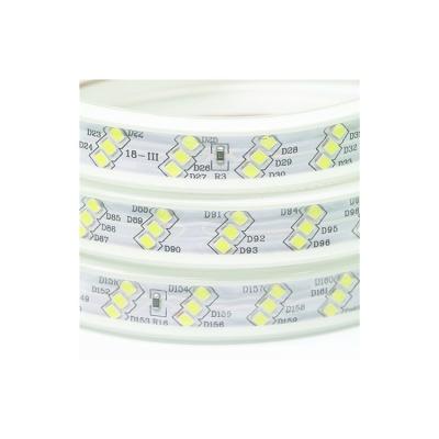 China LANDSCAPE hot sale outdoor decoration waterproof 5050 led light strips 110v 220v for sale