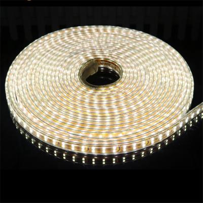 China LANDSCAPE 110v 220v LED Rope Lights Flex Strips Decorative Outdoor Home DIY Dimmable OEM Strips for sale