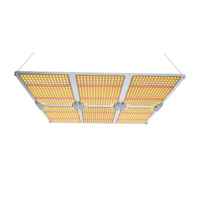 China Seed Starting Full Spectrum 100W/200W/400W/600W Dimmable Quantum LED Grow Light For Indoor Plant Greenhouse for sale