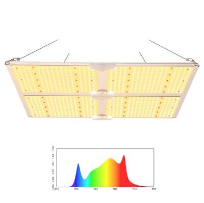 China Seed Starting 100W 200W 400W 600W LED Grow Light Diode Full Spectrum Quantum Used for Indoor Greenhouse Tent Hydroponic Plant for sale