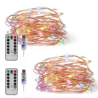 China Led Light Copper Wire String USB String Lights Holiday Lights 8 Mode For Home Christmas Wedding Decorative Festival for sale