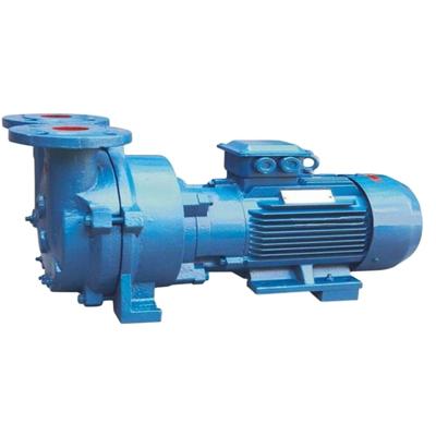 China Food and beverage industry BV oil-water circulation ring liquid vacuum pump is suitable for drinking water projects of large water pumps for sale