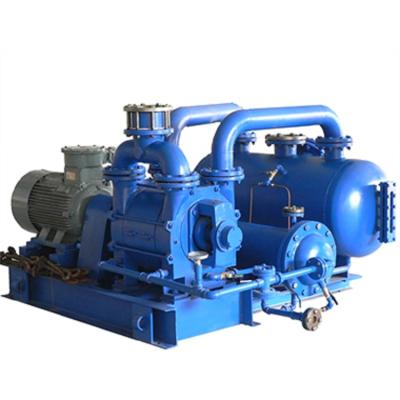 China Central Vacuum Biofuel Industry Medical Rotary System Vane Oil Free Vacuum Pump For Hospital for sale