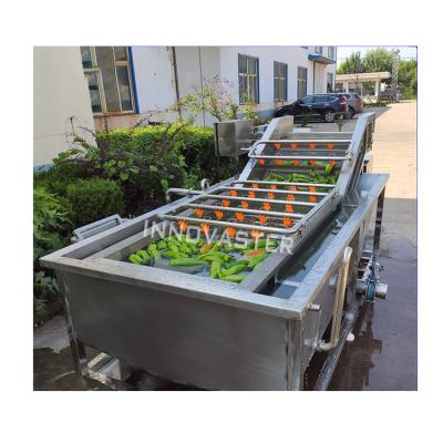 China Beverage Shop Application Scope Industrial Fruit and Vegetable Washer for Beverage Shops for sale