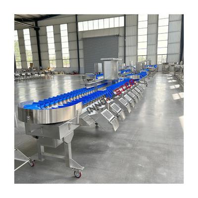 China 220V/380V Automatic Sea Cucumber Chicken Feet Weight Sorting Machine for Food Market for sale