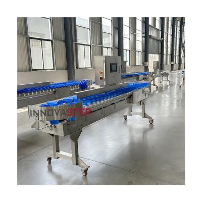 China Food Industry Equipment Automatic Shrimp Seafood Fish Check Weight Sorter Grader Machine for sale