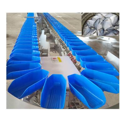 China 6000x1250x1750mm 304 Stainless Steel Intelligent Carrot Fish Fillet Sorter Equipment for sale