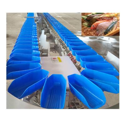 China Fish Processing Equipment Easy Operation Rotary Grader Oyster Weight Sorting Machine 220V/380V for sale