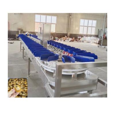 China Food Shop Check Weigher Oyster Weight Sorting Machine For Fruit Vegetable 6000x1250x1750mm for sale