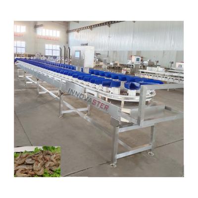 China 500 KG Weight Sorting Machine for Mango Grading in Frozen Food Conveyor Belt Included for sale