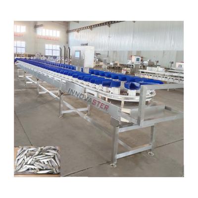 China 6000x1250x1750mm Frozen Chicken Leg/Wing/Abalone Weighting and Sorting Machine 500 KG for sale