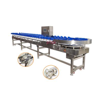 China 304 Stainless Steel Food Industry Equipment Oyster Weight Grader for Shrimp Sorting for sale