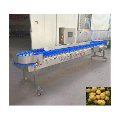 China Accurate Sorting Automatic Weight Grading Machine for Food Industry Equipment 500 KG for sale