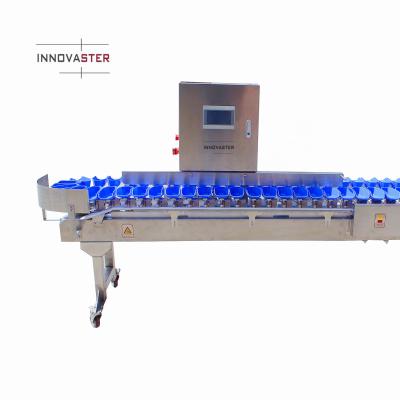 China Streamline Your Oyster Fish Sorting Process with Multi-Tray Weight Sorting Machine for sale