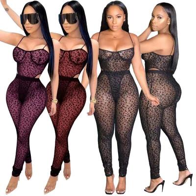 China Hot Selling Viable Plus Size Mesh Leopard Perspective Bodycon For Women Sexy Black Overalls 2 Piece Set for sale