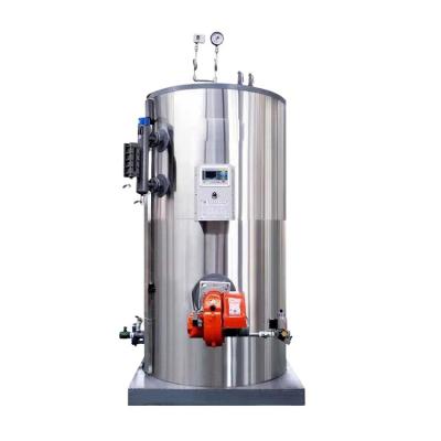 China Steam boiler 500kg/hour vertical horizontal 500kg industrial for sale