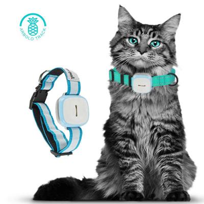 China Dog Tracking Device Waterproof Ip67 Adjustable Dog Collar Activity Gps Pet Tracker With Sim Card 66*52*24mm for sale