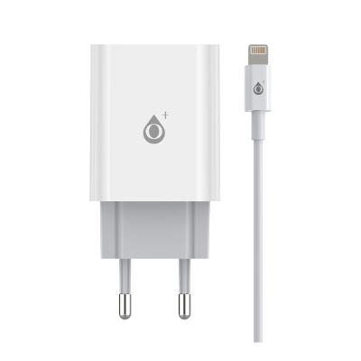 China PD With Type-C Port + PD Cable USB Mobile Phone Charger New Dual Wiring USB Charging Master Plug Cable TYPE-C PD With Type-C Port + Cable NA0247 Green White palladium for sale