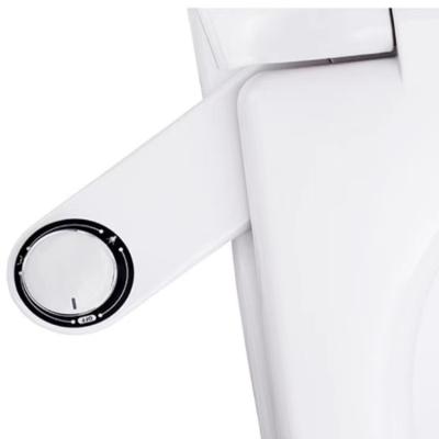 China Modern top bidet all around clean - dual spout design for front and rear cleaning for sale