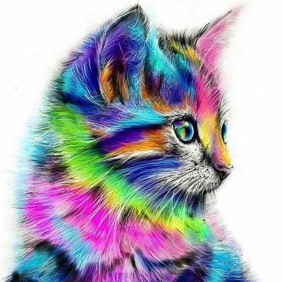 China CHENISTORY 99124 Classic Painting By Numbers Animals Colorful Cat Oil No Frame On Canvas for sale