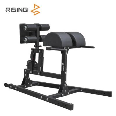 China Gym equipment ghd Modern Glute Ham Developer UP Roman Chair for sale