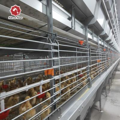 Κίνα Silver Color 3 Tiers Broiler Chicken Cage For Chicken Farm προς πώληση