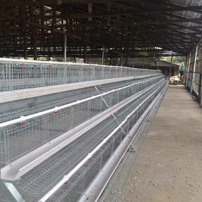 Cina Un tipo nuove gabbie di strato dell'uovo del pollo di progettazione di più grande dimensione in vendita