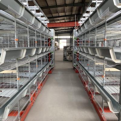 China Galvanized Poultry Layer Chickens Cage For Farm Battery Cages For Poultry Chicken Layer for sale