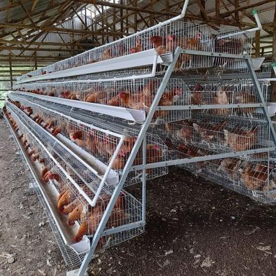 중국 3/4 tier 160 birds Egg Layer Chicken Cage For South Africa Poultry Farm Chicken House 판매용