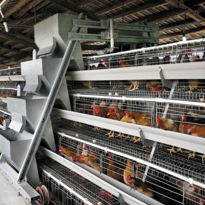 China Poultry Farm Automatic Battery Egg Layer Chicken Cages Hen Layer Egg Battery Cage for sale