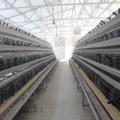 China Design Layer Cage Poultry Equipment Automatic 3 Tiers 4 Tiers A Type Poultry Cages zu verkaufen