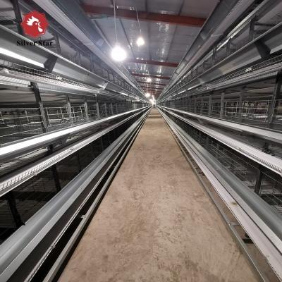 China Modern Automatic Broiler Chicken Farming Equipment H Type Poultry Broiler Cage for Nigeria zu verkaufen