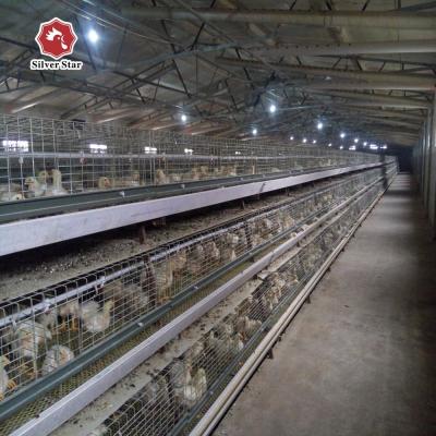 China A-type Q235 Steel Cage For Baby Chickens Featuring Hot-dip Galvanized Wire Mesh for sale