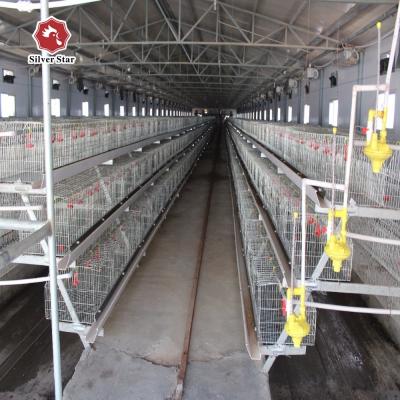 Chine Broiler Pullet Breeder Chicken Cage Galvanized Mesh A Type Layer Egg Hens à vendre