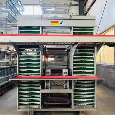 China Q235 Poultry Cage chicken farm for layer chickens Equipment Automated Chicken Layer for sale