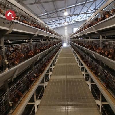 Cina Gabbia automatica per polli a strati per allevamento di pollame con alimentatore automatico e sistema di abbeveraggio in vendita